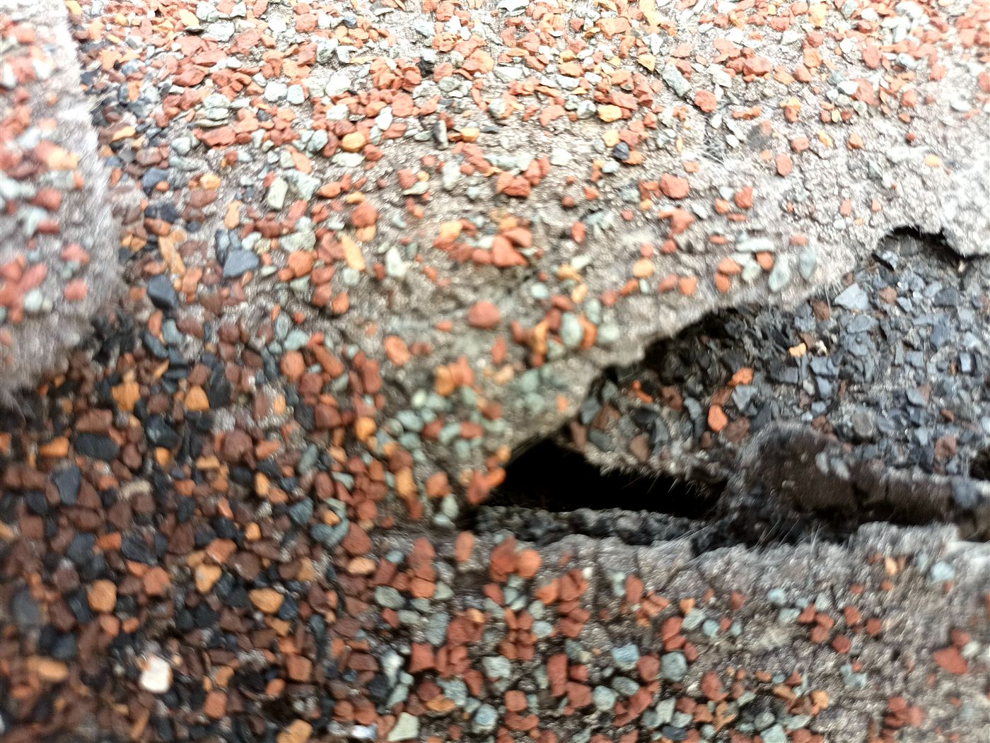 Close-range photo of a storm-opened shingle breach with cracked mat and exposed underlayment
